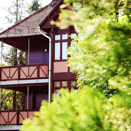 Ezuestfenyo Hotel Telkibánya Esterno foto