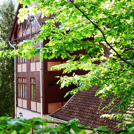 Ezuestfenyo Hotel Telkibánya Esterno foto