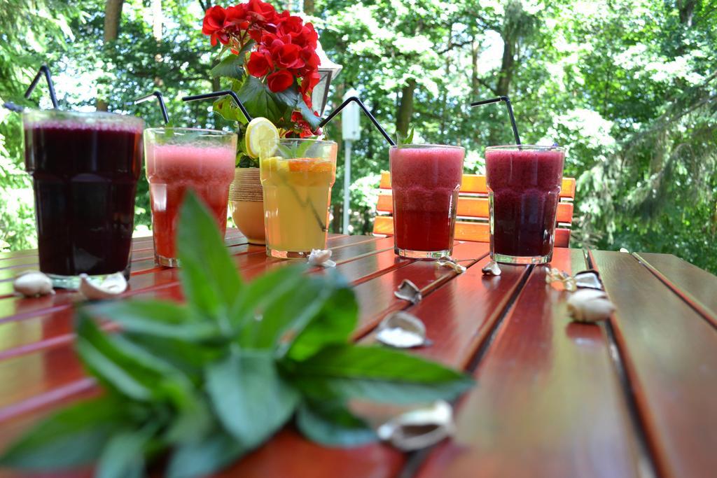 Ezuestfenyo Hotel Telkibánya Esterno foto