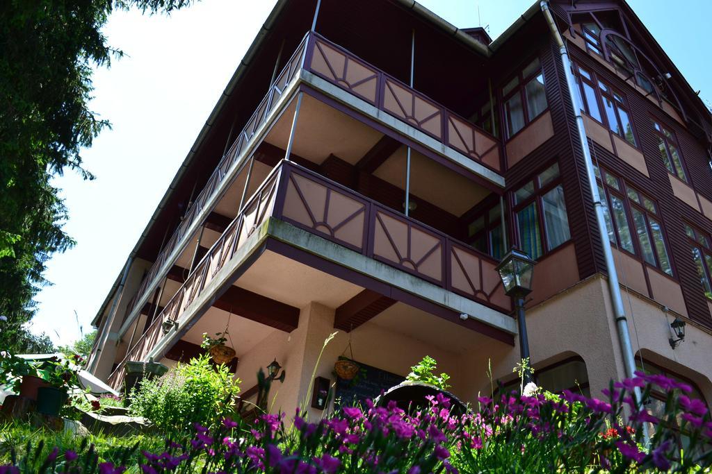 Ezuestfenyo Hotel Telkibánya Esterno foto
