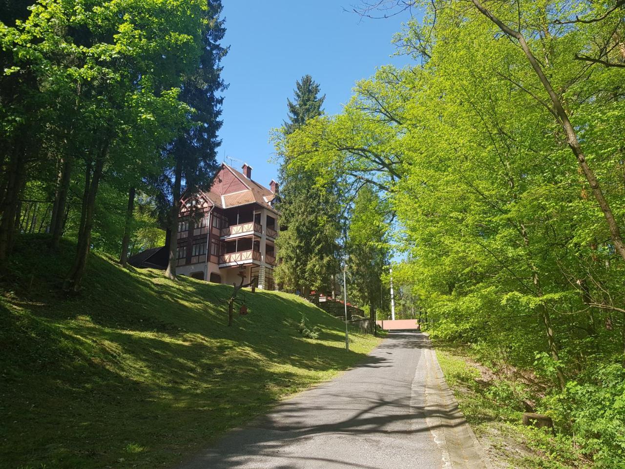 Ezuestfenyo Hotel Telkibánya Esterno foto